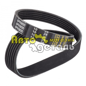 Ремень 6 РК 800 QINYAN 20004575