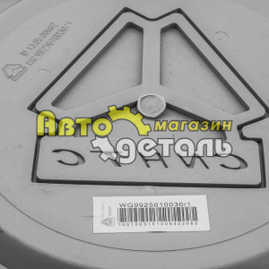 Колпак колеса декоротивный HOWO AZ9112610090