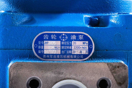 НШ CBGJ3125 центральный XCMG LW300 803004137