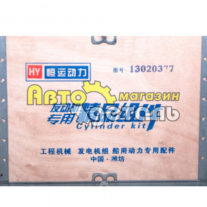 Поршневая группа DEUTZ TD226B 13020377