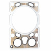 Прокладка ГБЦ WP12 EURO 5