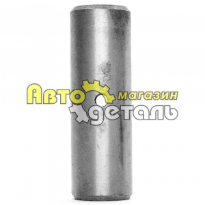 Палец опорный тормозных колодок задних 28-89 HOWO 199000340064